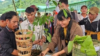 Tiếp tục công bố di sản văn hóa phi vật thể quốc gia