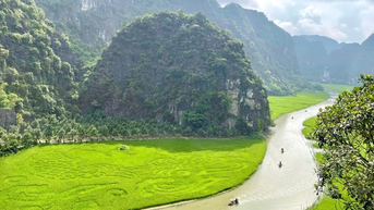 Độc đáo bức tranh “Cá chép vượt vũ môn” trên cánh đồng lúa Tam Cốc, Ninh Bình