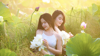 Đầm sen bung nở đầu mùa ở Hà Nội, nàng thơ xúng xính check in