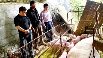 Tập trung giảm nghèo, vững bước vào kỷ nguyên mới: Kỳ cuối - Khơi dậy ý chí, khát vọng thoát nghèo