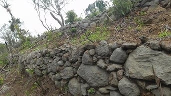 Cho phép khai quật khảo cổ tại 3 địa điểm thuộc di tích Trường Lũy Bình Định
