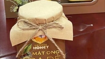 Công ty CP Ong mật Việt Ý có nhiều sản phẩm OCOP nhất Chí Linh