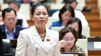 Hậu kiểm không phải việc kiểm tra tùy tiện, tùy hứng của cán bộ