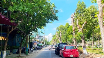 TP Quy Nhơn xây dựng 3 tuyến phố đi bộ