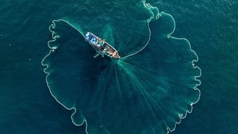 Mặt biển Nhơn Lý như nở hoa sau cú bung chài điệu nghệ