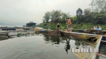 Tín dụng chính sách tiếp sức cho nông dân