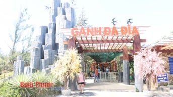 Gành Đá Đĩa - điểm tham quan hấp dẫn