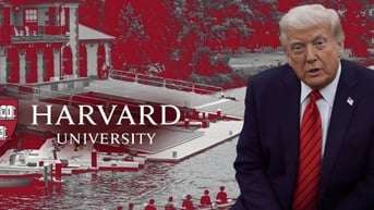 Lệnh cấm với Đại học Harvard, chuyên gia lưu ý với sinh viên Việt