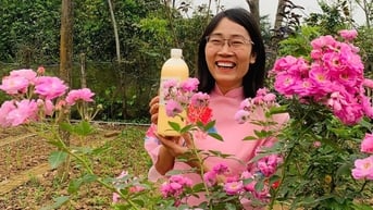 Đủ kiên trì rác sẽ nở hoa