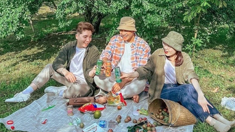 Đến Mộc Châu mùa hái mận, chọn tour thế nào?