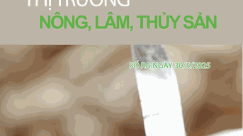 Bản tin Thị trường Nông lâm thủy sản số ra ngày 30.05.2025