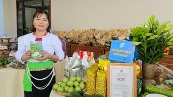 Gieo mầm từ cây chè, đơm trái bằng niềm tin