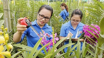 Phấn đấu hỗ trợ ít nhất 35.000 doanh nghiệp do thanh niên làm chủ