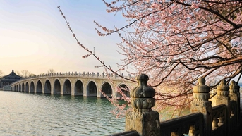 Sâu lắng mùa xuân Yên Kinh