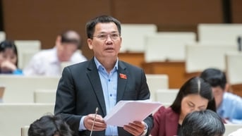 Nghị quyết sửa đổi, bổ sung một số điều của Hiến pháp năm 2013 cần có hiệu lực ngay sau khi Quốc hội thông qua