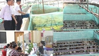 Người dân làm giàu từ vốn vay Agribank Thanh Hoá