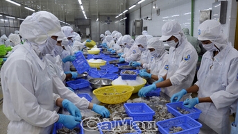 Dáng dấp tỉnh Cà Mau mới với những bước đột phá