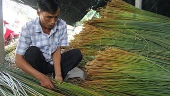 Một ngày với nông dân Tràm Lạc