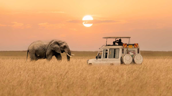 Chinh phục 3 safari ở châu Phi: Hành trình giữa thiên nhiên hoang dã và trái tim phiêu lãng