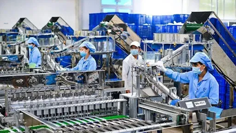 Xác định kịch bản tăng trưởng