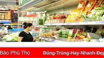 Giá cả một số mặt hàng tiêu dùng ngày 10/6