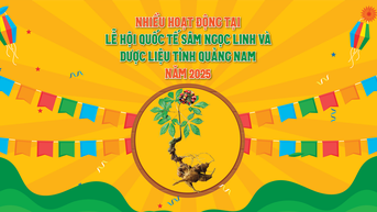 Nhiều hoạt động tại Lễ hội quốc tế Sâm Ngọc Linh và dược liệu tỉnh Quảng Nam năm 2025
