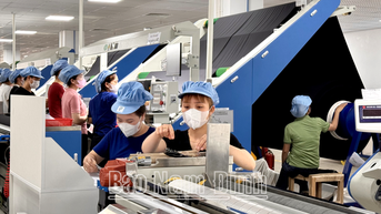 Nam Định chủ động, vững bước trong tiến trình phát triển sau sáp nhập