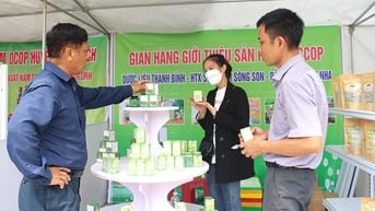 Bố Trạch có 74 sản phẩm OCOP