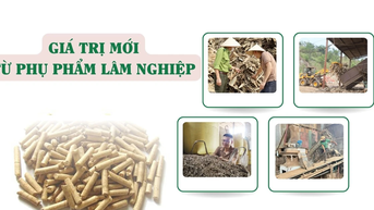 Giá trị mới từ phụ phẩm lâm nghiệp