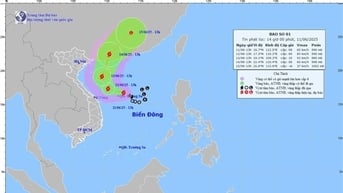 Bão số 1 gây mưa dồn dập trong thời gian ngắn