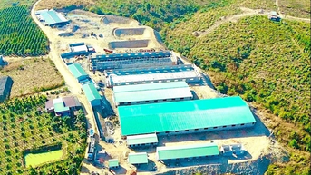 Phê duyệt đánh giá tác động môi trường 2 dự án chăn nuôi heo tại Krông Pa