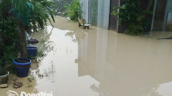 Tiếp tục xảy ra tình trạng nhà dân bị ngập sau mưa lớn gần khu vực thi công Dự án Đường cao tốc Biên Hòa - Vũng Tàu