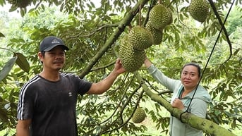 Đồng hành nông dân phát triển kinh tế