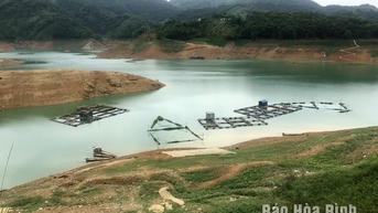Mực nước hồ Hòa Bình xuống thấp kỷ lục, người nuôi cá lồng lao đao
