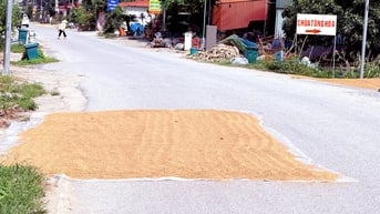 Phơi thóc chiếm nửa đường liên xã