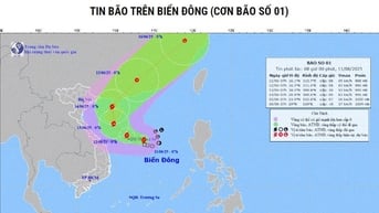 Áp thấp nhiệt đới đã mạnh lên thành bão - bão...