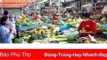 Giá cả một số mặt hàng tiêu dùng ngày 11/6/2025