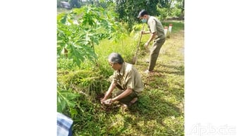 Cựu chiến binh gương mẫu xây dựng nông thôn mới