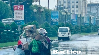 Sau cơn mưa