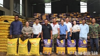 Huyện Krông Ana: Cấp 151 tấn phân bón cho nông dân