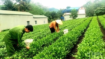 Đồng Hỷ: Các làng nghề thu hút trên 8.600 lao động nông thôn
