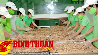 Phan Thiết: Siết chặt quản lý, ổn định sản xuất và tiêu thụ nông, lâm, thủy sản