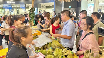 Cần Thơ kết nối tiêu thụ sầu riêng tại Hải Phòng