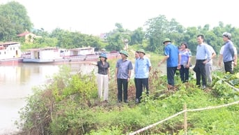 Đẩy nhanh tiến độ khắc phục sự cố, bảo đảm an toàn hệ thống đê trong mùa mưa bão