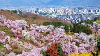 Kế hoạch du lịch Fukushima 3 ngày 2 đêm: Địa điểm vui chơi, ẩm thực và lưu ý