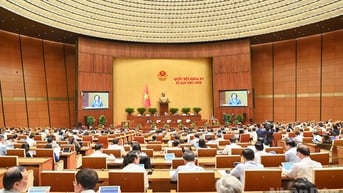 Ngày 12/6, Quốc hội biểu quyết thông qua việc sắp xếp đơn vị hành chính cấp tỉnh