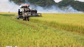 Việt Nam là một trong các nước có khả năng tự chủ lương thực ở mức cao