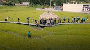 Gắn du lịch cộng đồng với xây dựng nông thôn mới