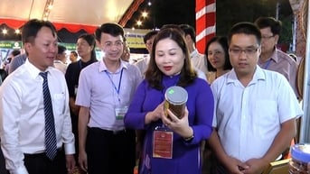 Nỗ lực nâng cao chất lượng sản phẩm OCOP