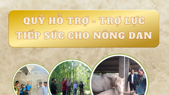Trợ lực tiếp sức cho nông dân - Kỳ 1: Tiếp sức đúng lúc – Nông dân vững bước